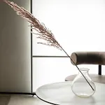 فندق Scenario 4*